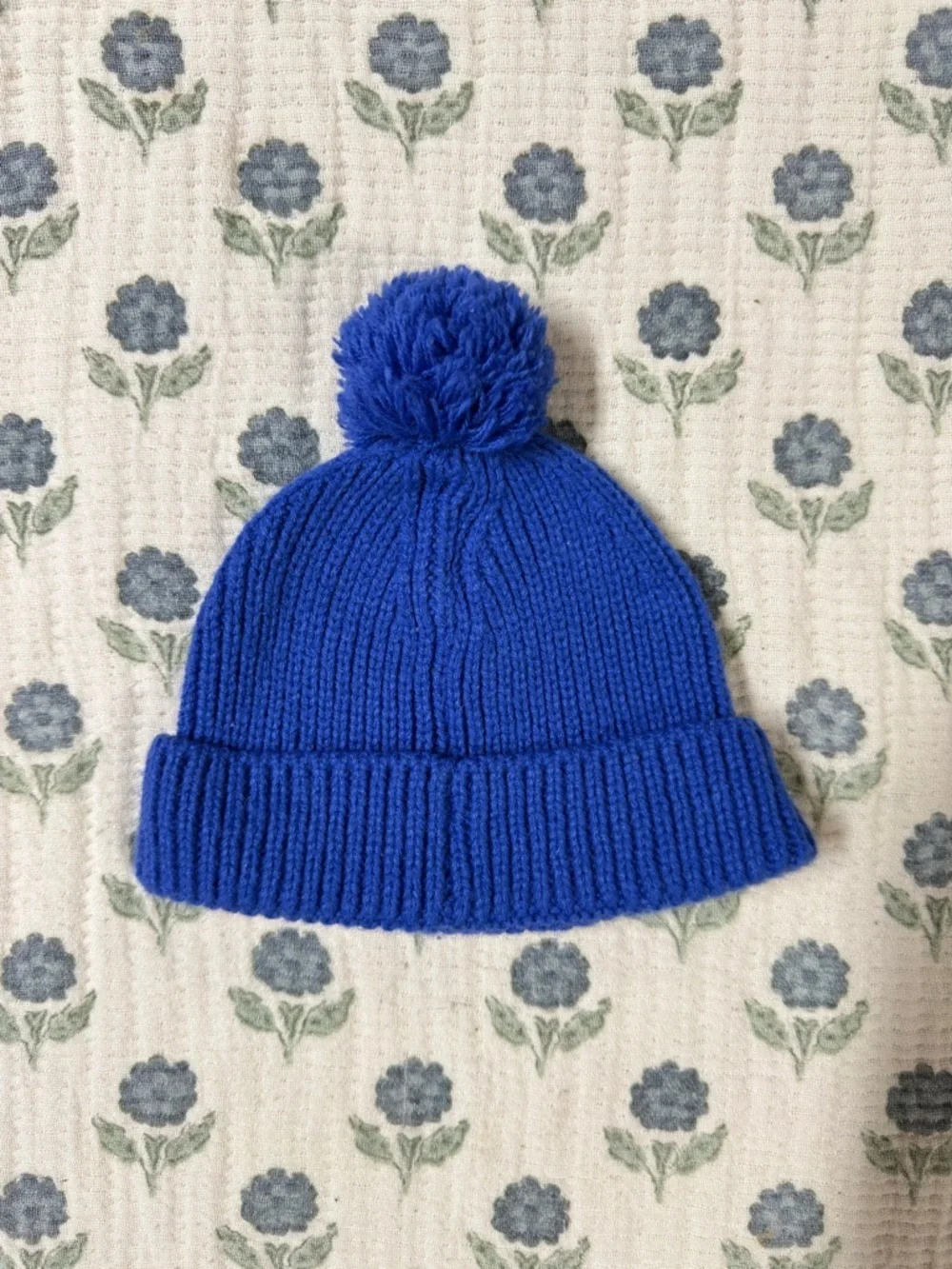 The North Face Blue Beanie